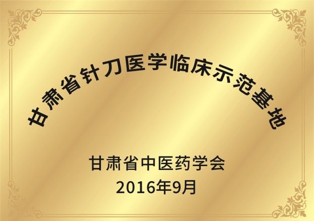 甘肃省针刀医学临床示范基地
