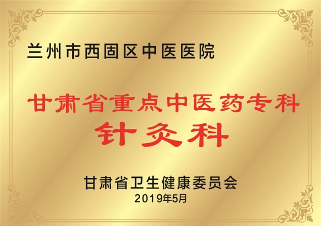 甘肃省重点中医药专科 针灸科