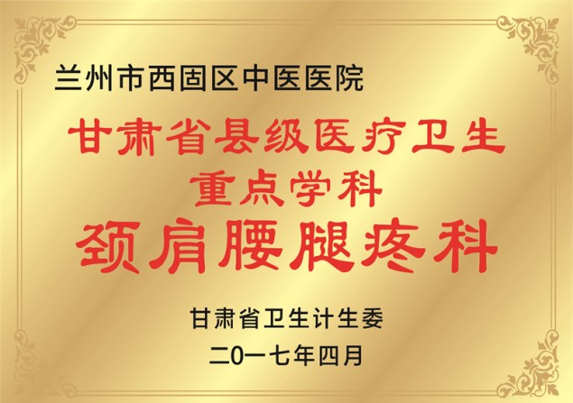 甘肃省县级医疗卫生 重点学科 颈肩腰腿疼科