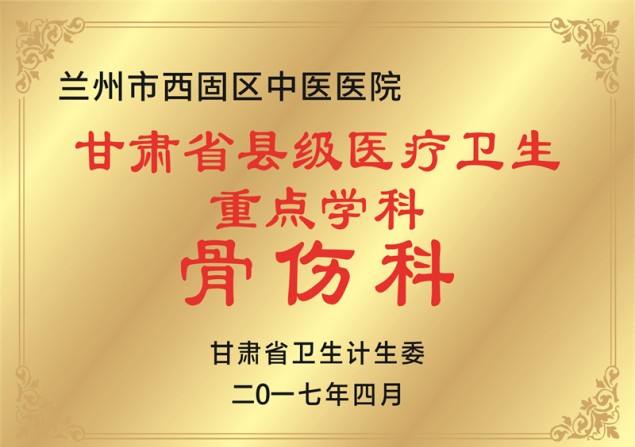 甘肃省县级医疗卫生 重点学科 骨伤科