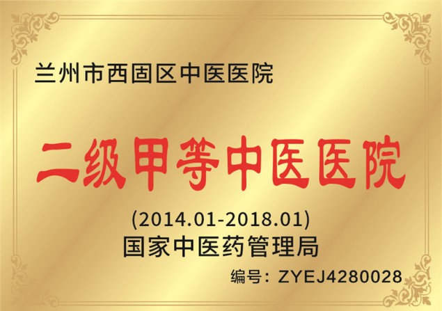 二级甲等中医医院