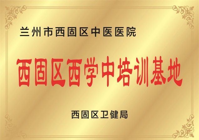 西固区西学中培训基地